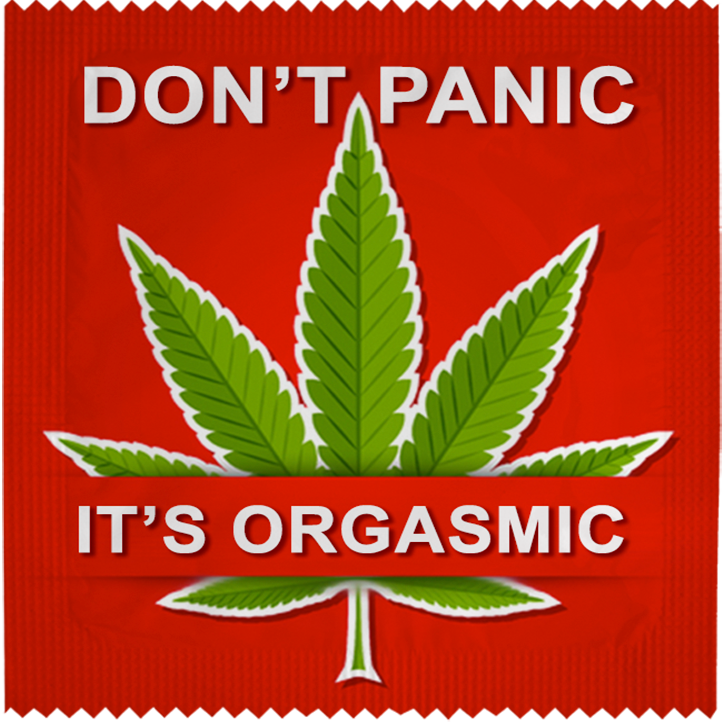 Image of funny condom "Don't Panic It's Orgasmic"