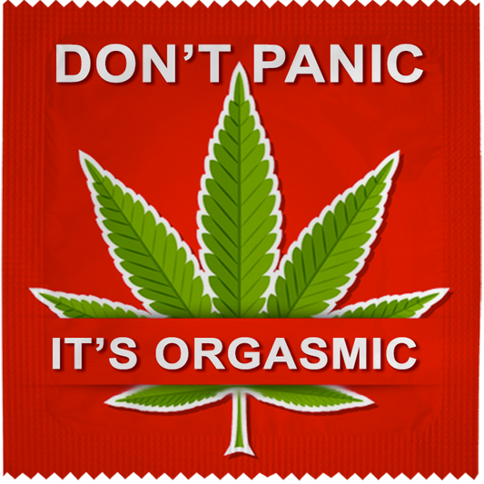 Image of funny condom "Don't Panic It's Orgasmic"